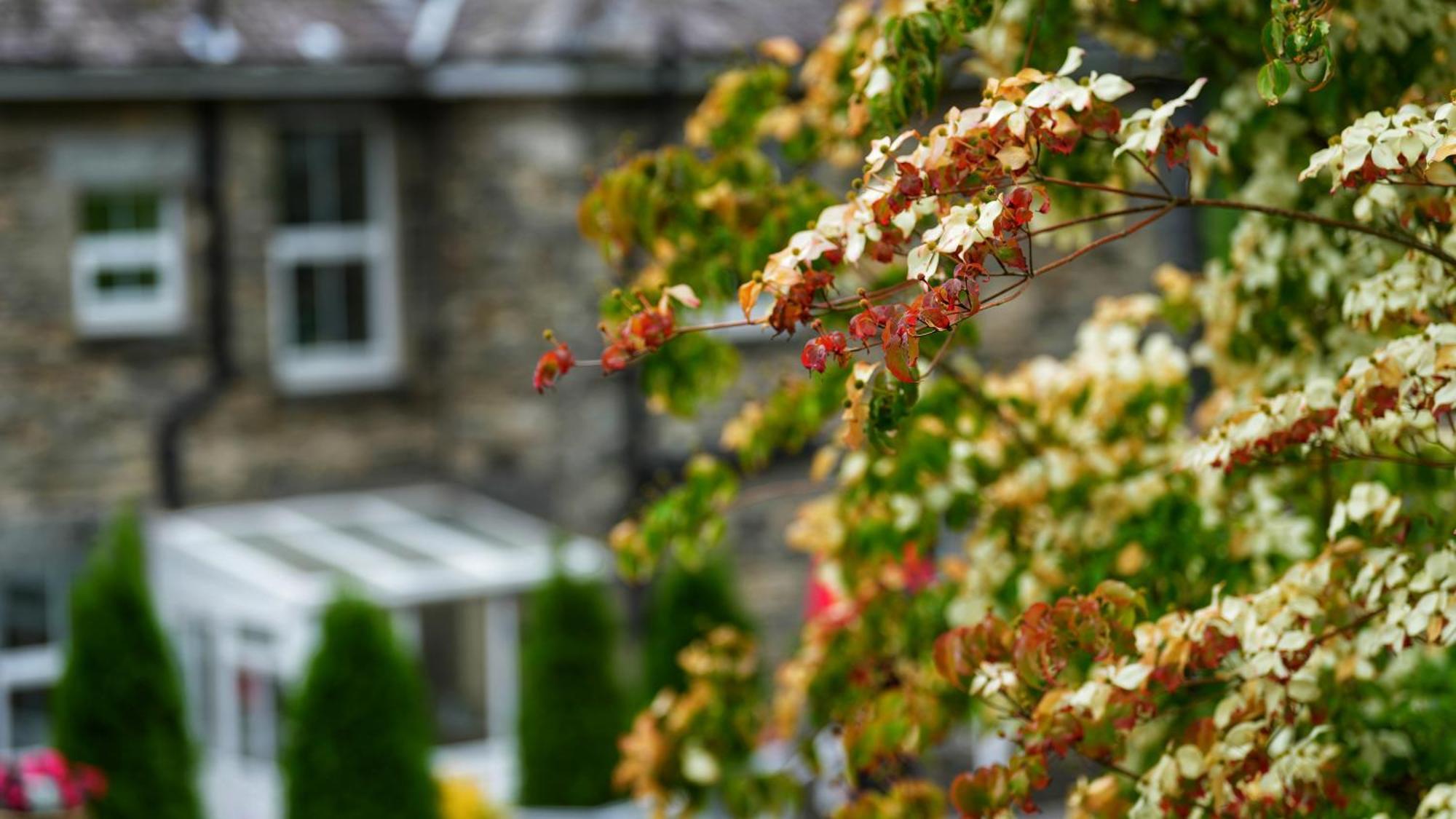 Tyn Y Fron 6 Bedroom House In Betws-Y-Coed Snowdonia Exterior foto